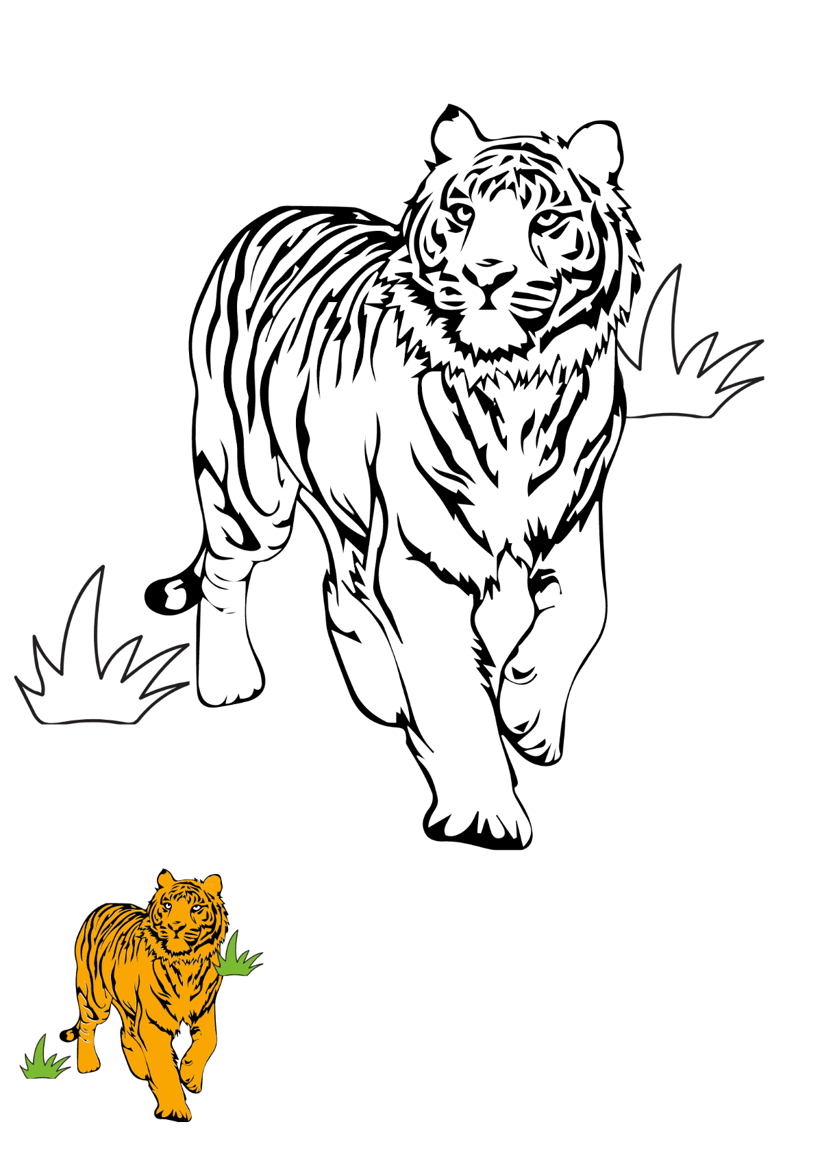 Free tiger coloring page s examples