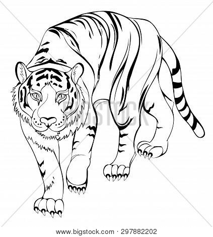 Stylized tiger black vector photo free trial bigstock