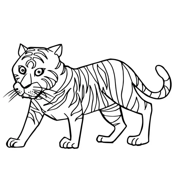 Tiger coloring page vector images