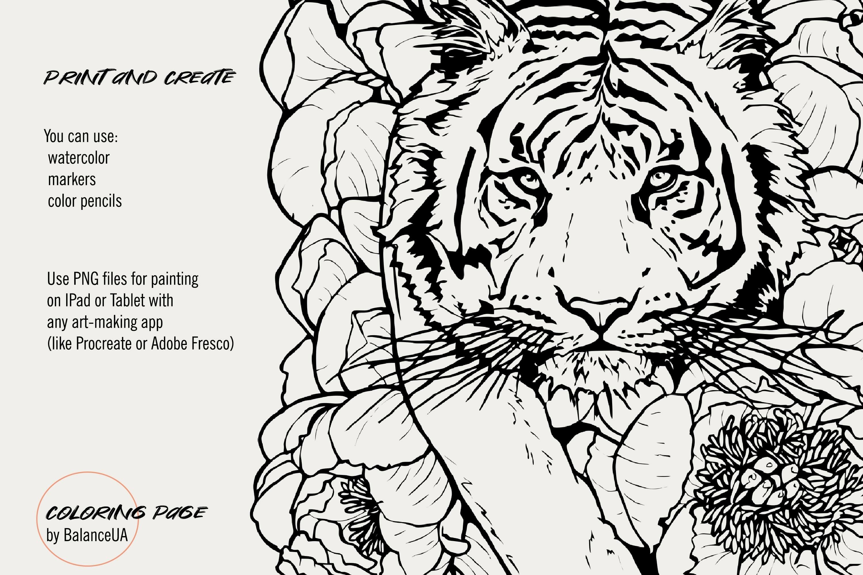 Coloring page with tiger for adults and kids