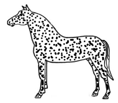Commonly recognized tiger horse coat patterns tigre horse