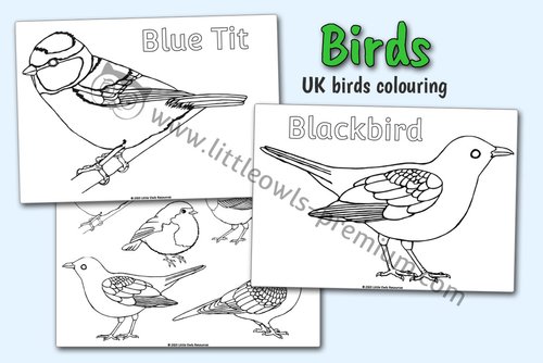 Free and premium printable colouringcoloring sheetspages