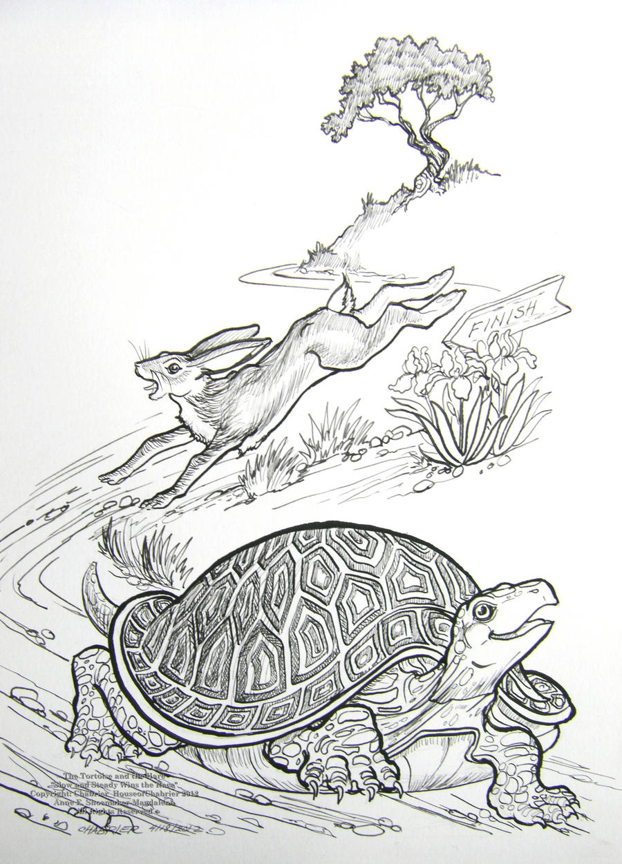 The tortoise and the hare race by houseofchabrier on