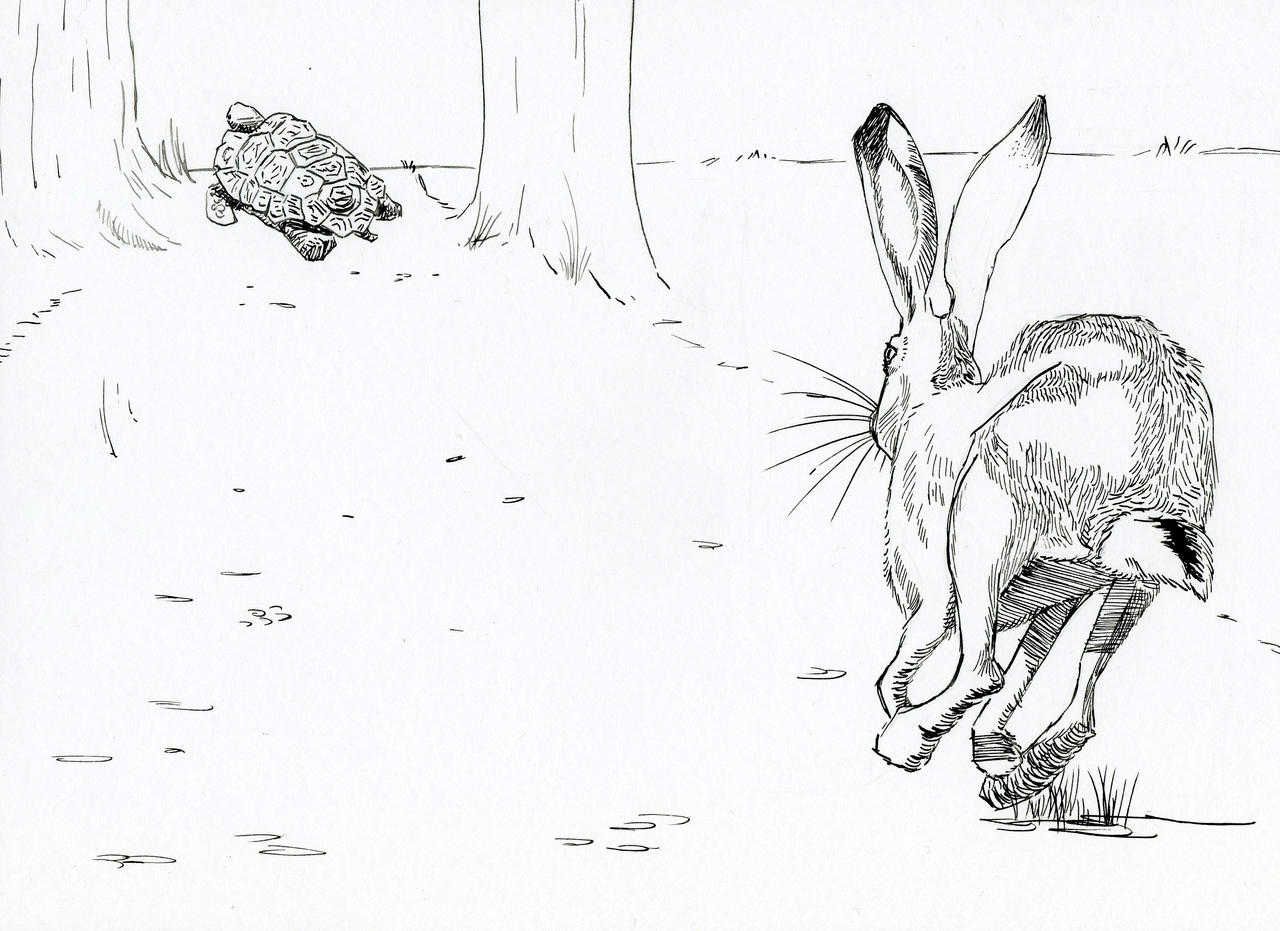 The tortoise and the hare by bethl