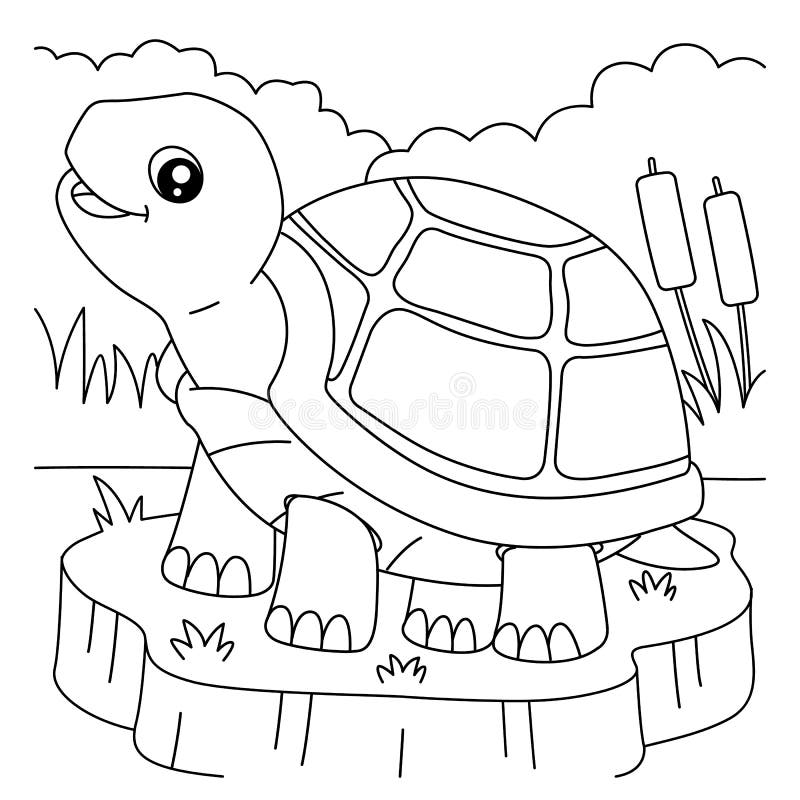Tortoise colouring stock illustrations â tortoise colouring stock illustrations vectors clipart