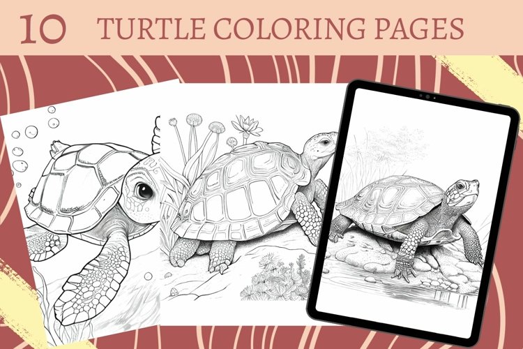 Turtle coloring pages