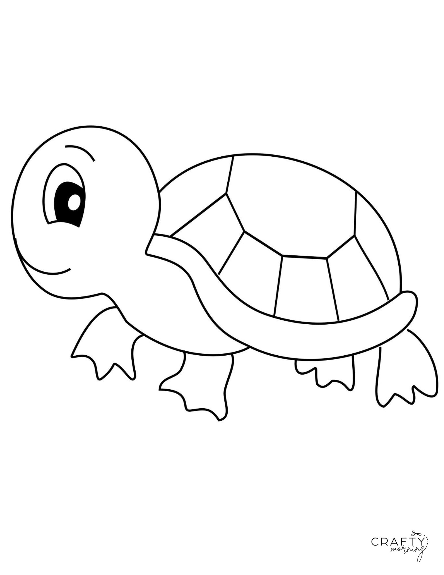 Drawing a tortoise step by step tutorial