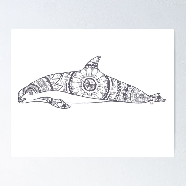 Vaquita posters for sale