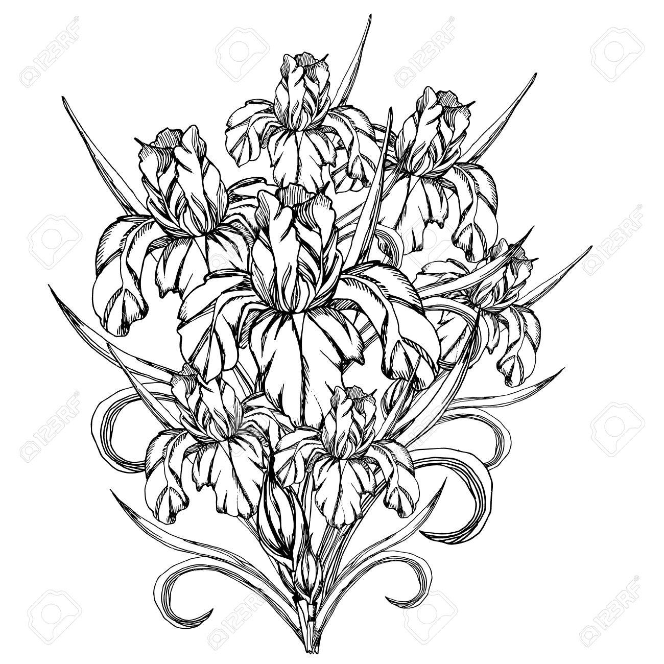 Sketch flowervector decorative trace of iris flowerstemplate for coloring pages for adults coloring dook a bouquet of flowers with doodle style royalty free svg cliparts vectors and stock illustration image