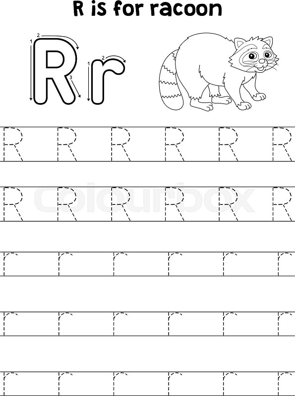 Racoon animal tracing letter abc coloring page r stock vector