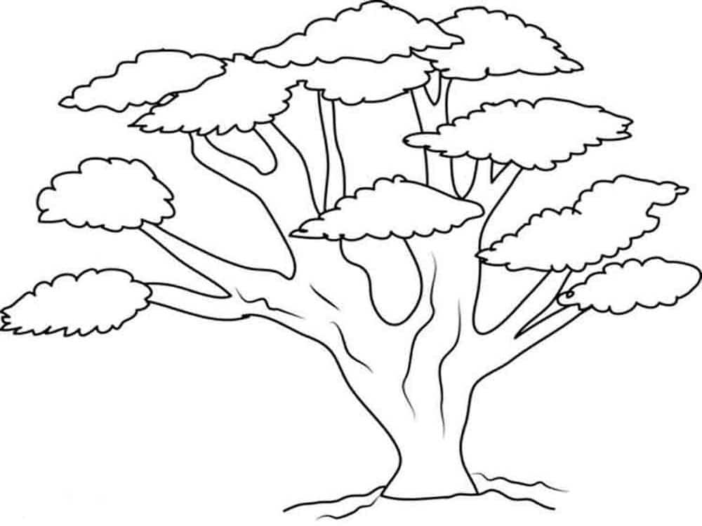 Big tree with massive branches coloring page