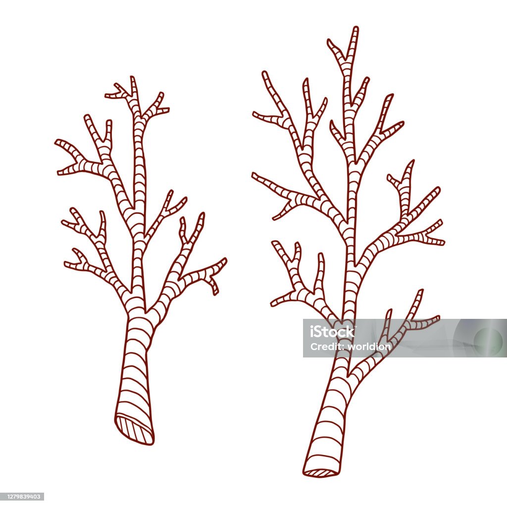 Tree branches line art hand drawn print sticker rustic design coloring book page stock illustration
