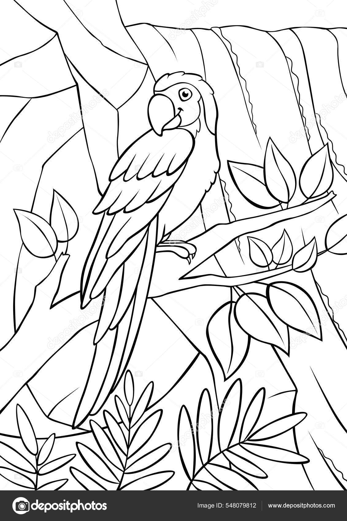 Coloring page cute parrot yellow macaw sits tree branch smiles stock vector by ya