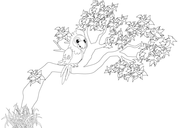Premium vector beautiful longtailed parrot coloring page with leaves on a tree branch vector illustration line art