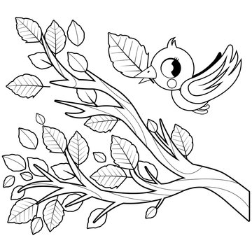 Bird and a tree branch with leaves vector black and white coloring page vector