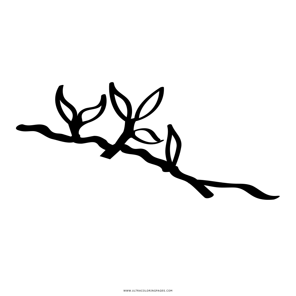 Branch coloring page