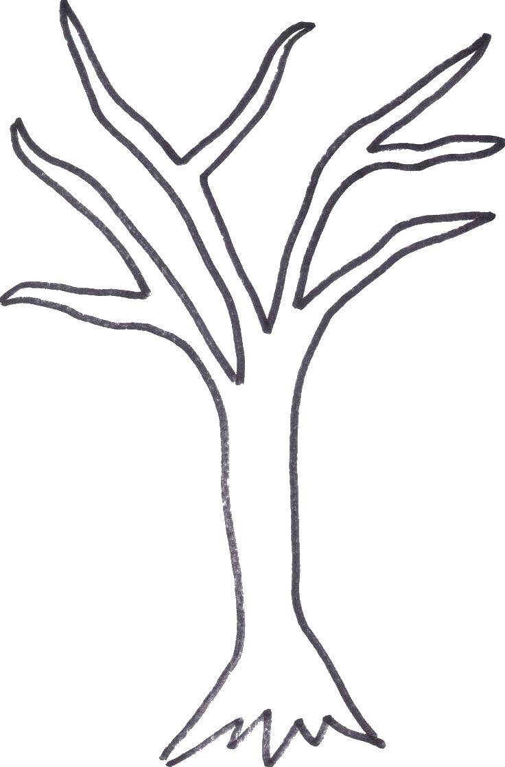 Online coloring pages coloring tree without leaves coloring