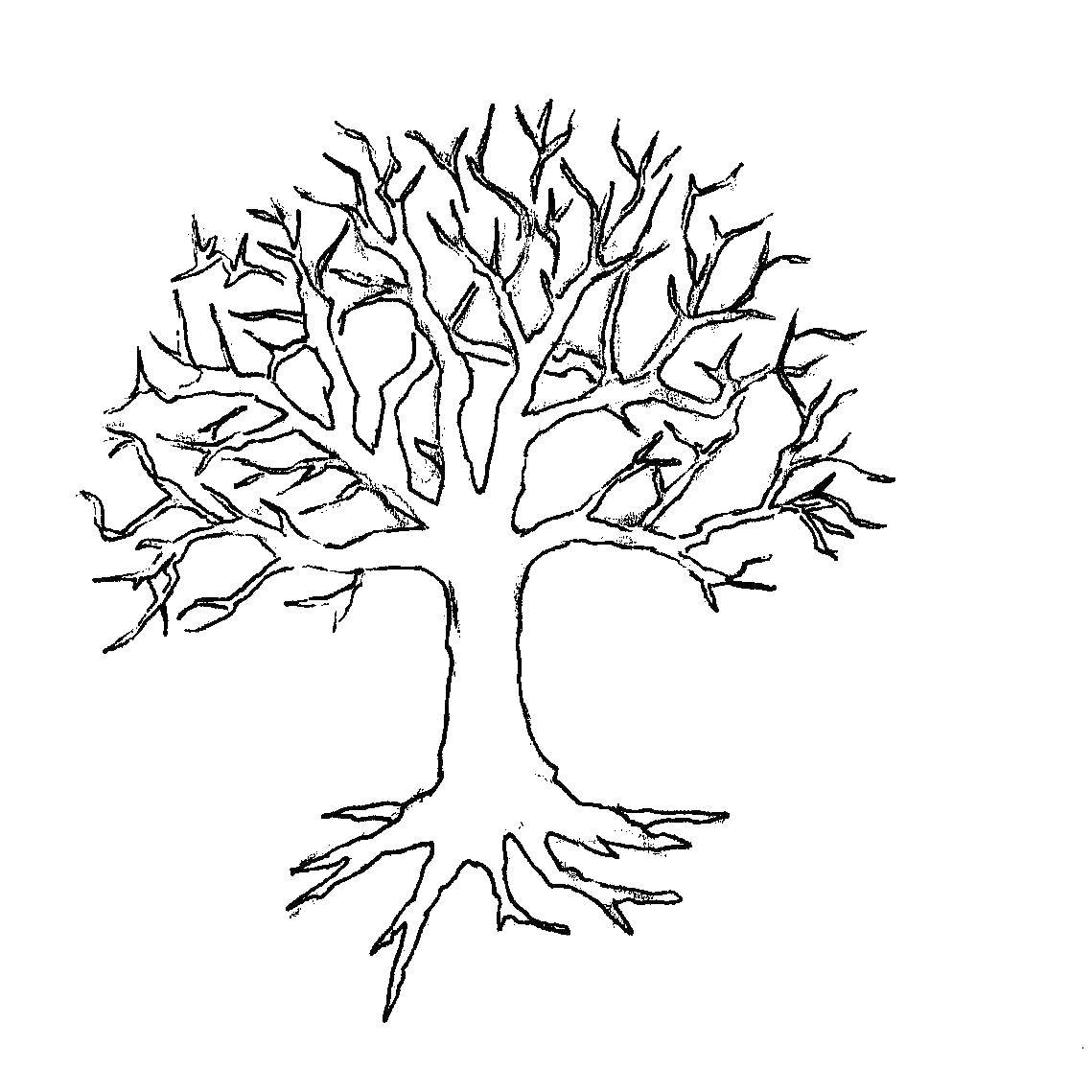 Online coloring pages tree coloring tree without leaves the contours of the leaves