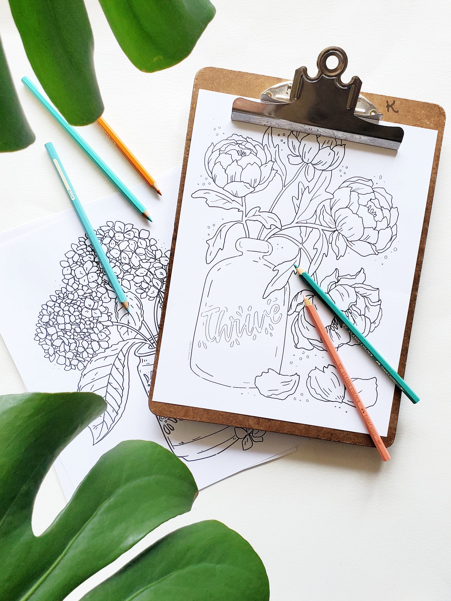 Sketchy notions free downloads coloring pages guides and posters