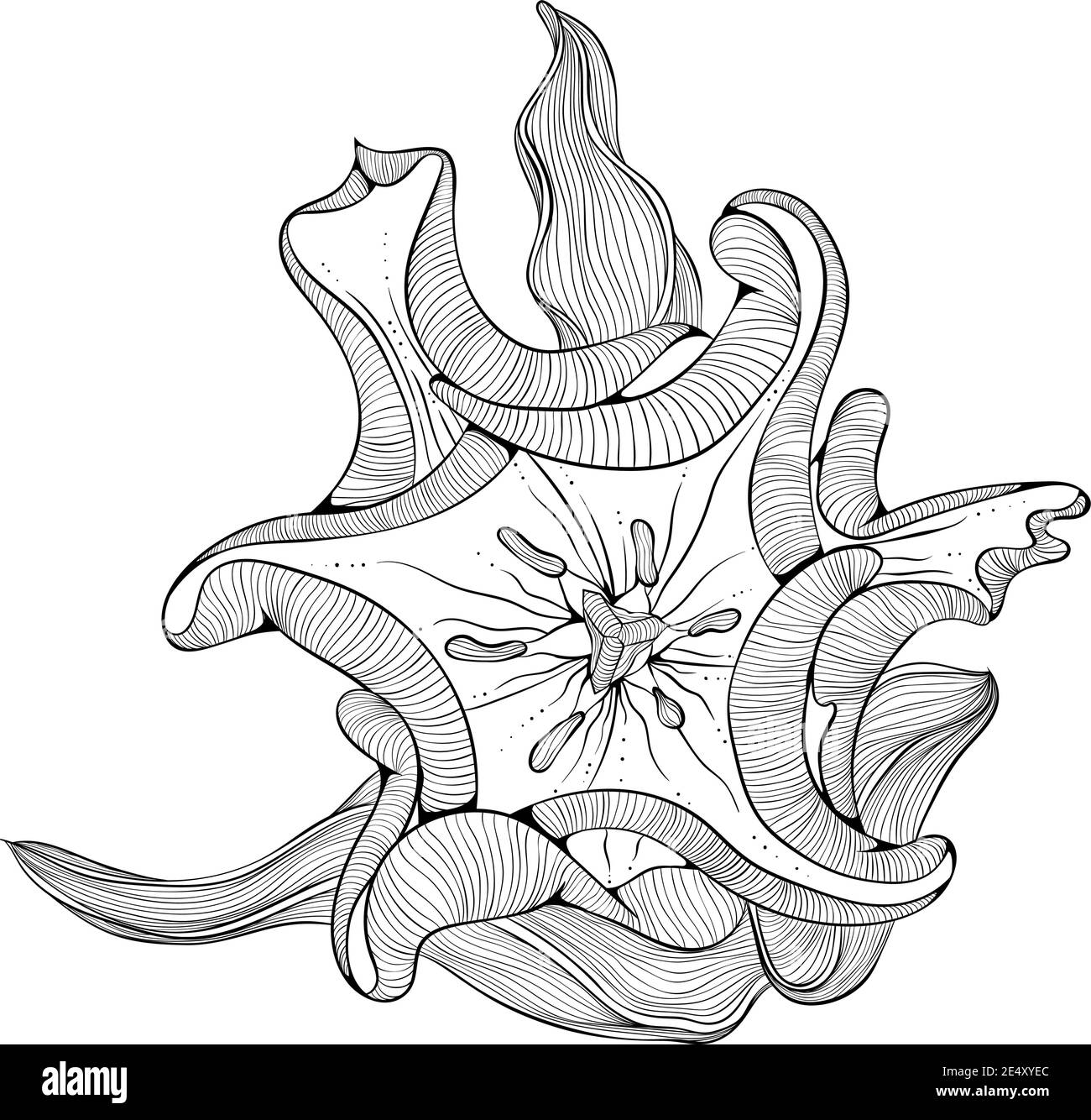 Tulip tattoo cut out stock images pictures