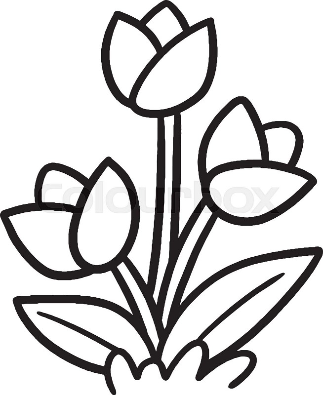 Tulip flower isolated coloring page for kids stock vector