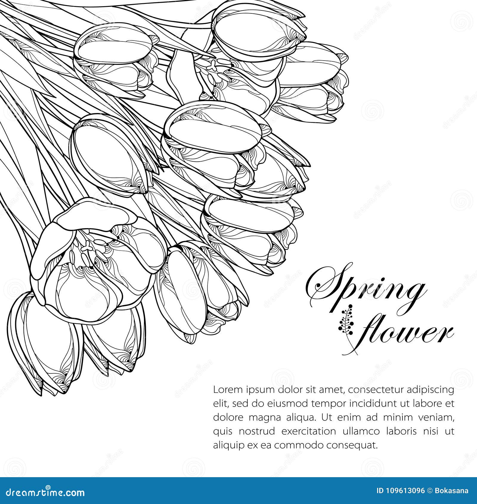 Vector corner bouquet with outline tulip flowers bud and ornate leaves in black isolated on white background stock vector