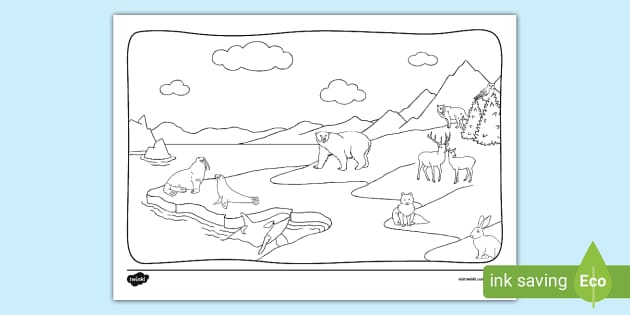 Arctic animals louring montage page teacher made