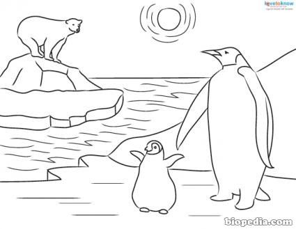 Resultado de imagen para dibujos para colorear de la sabana penguin coloring pages penguin coloring coloring pages