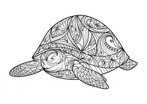 Turtle coloring pages for children