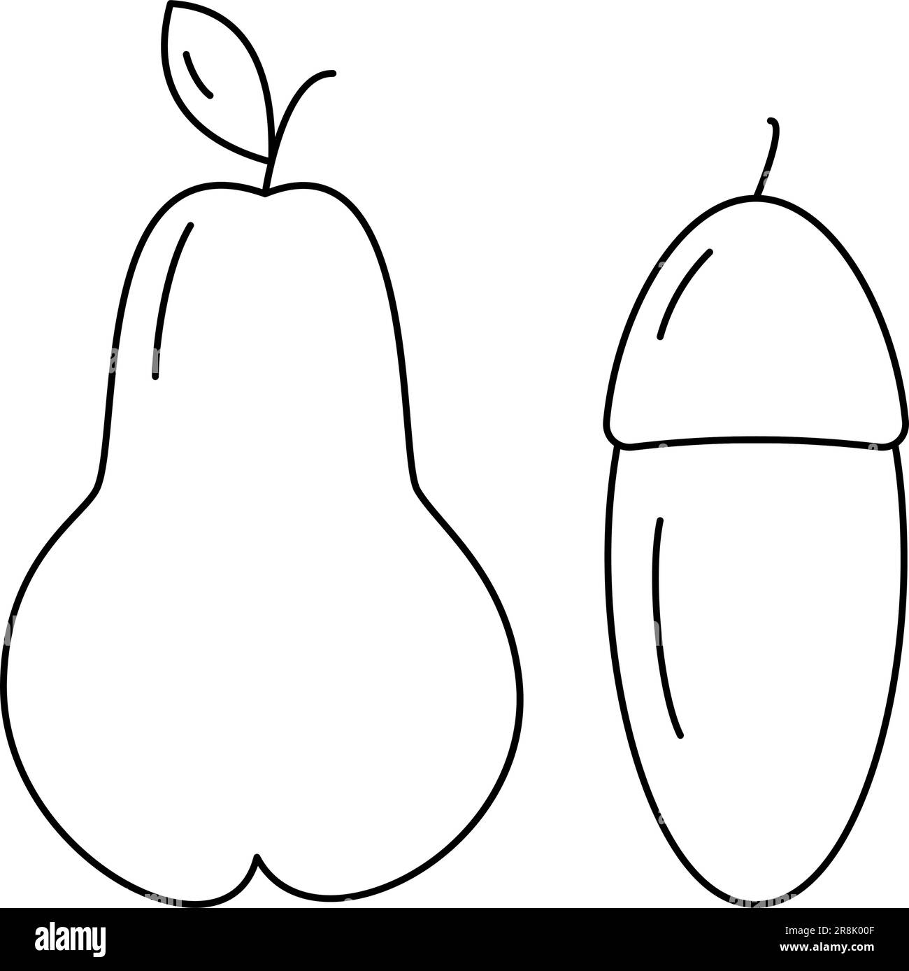 Set of contour drawing seasonal fruit pear and acorn thanksgiving day coloring book vector eps sticker icon isolate design for poster color stock vector image art