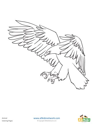 Eagle coloring page all kids network