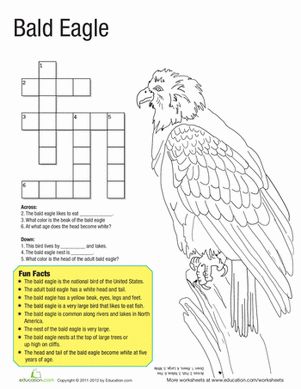 Bald eagle facts worksheet education eagle facts bald eagle eagle