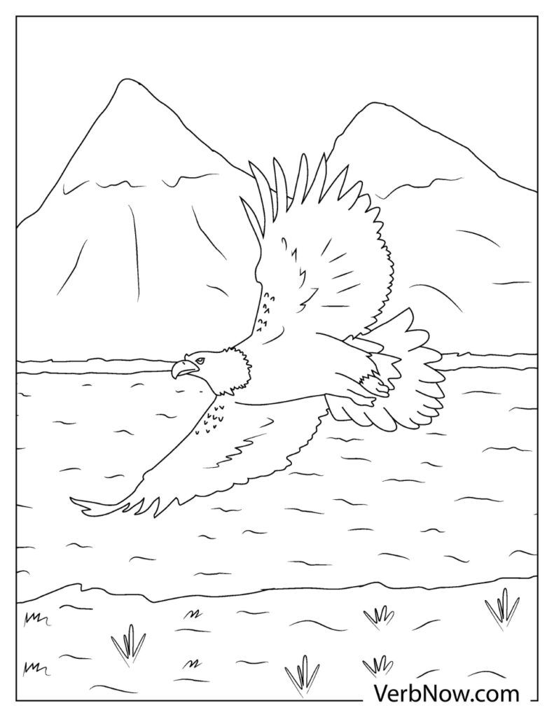 Free eagle coloring pages book for download printable pdf