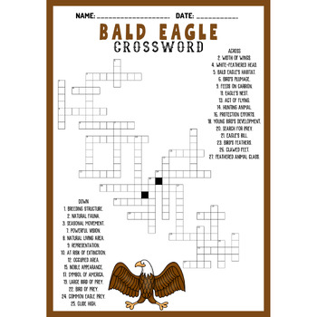 American bald eagle bundle