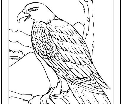 Tag bald eagle coloring page print it free