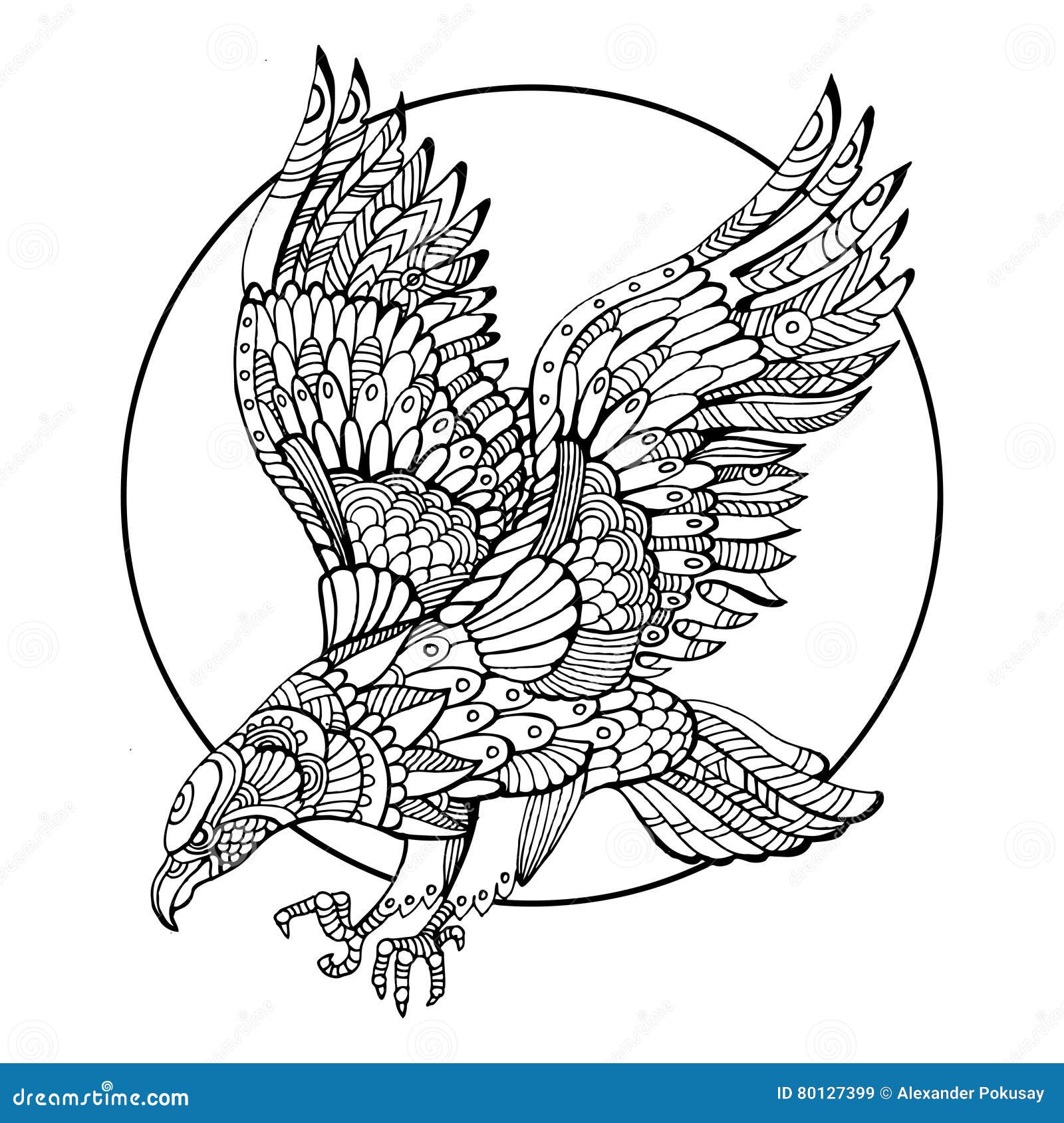 Eagle coloring stock illustrations â eagle coloring stock illustrations vectors clipart