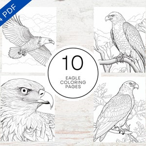 Eagle coloring pages