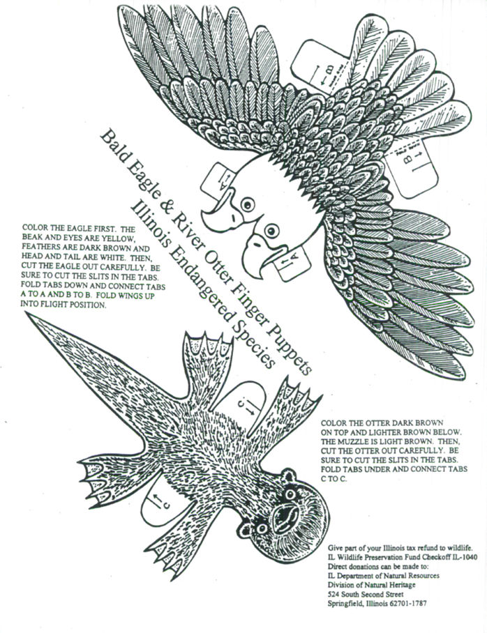 Activity sheets available for download