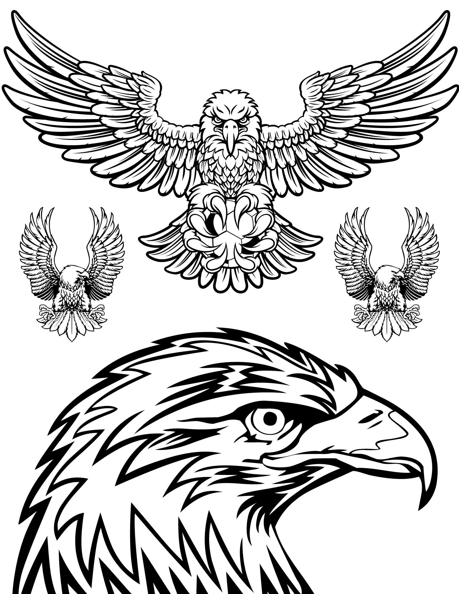 Free bald eagle coloring pages for kids and adults