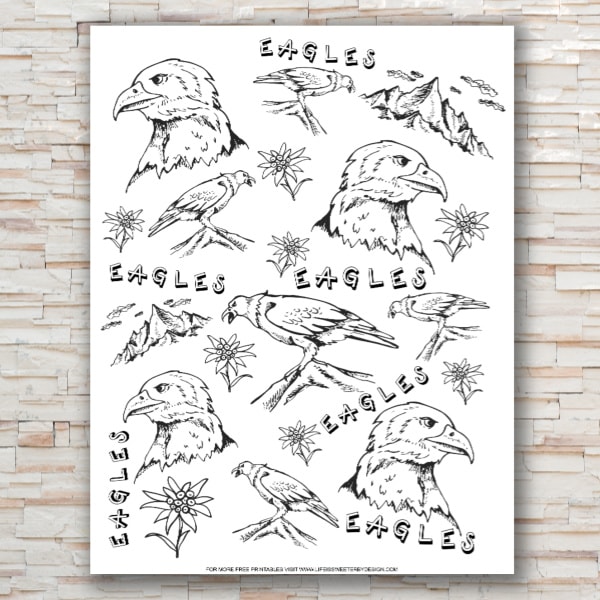 Eagle color pages