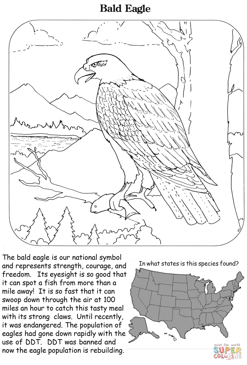 Bald eagle coloring page free printable coloring pages
