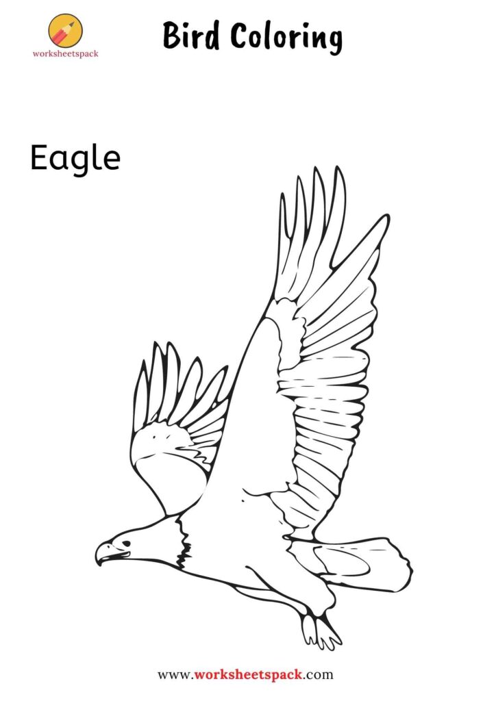 Bird coloring pages
