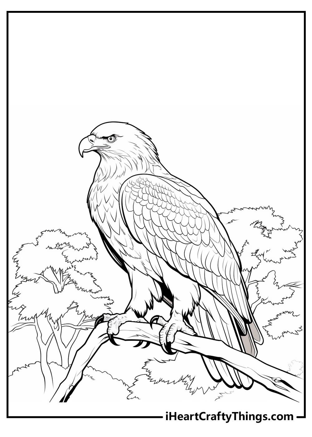 Bald eagle coloring pages updated