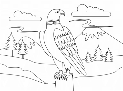 Eagle coloring page free printable coloring pages