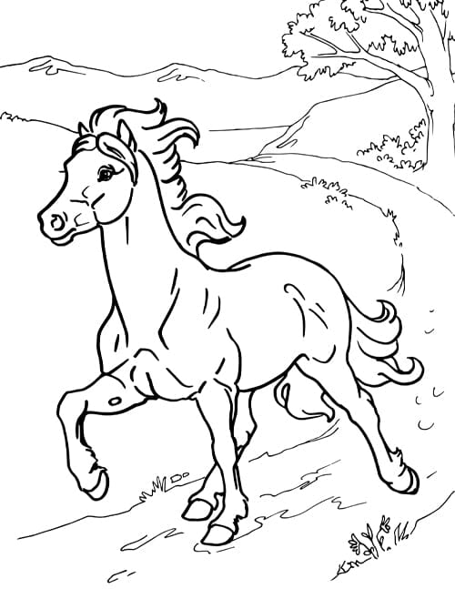 Girl on unicorn coloring page