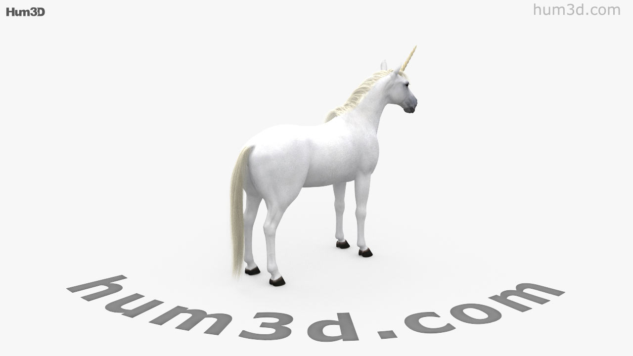 View of unicorn d model