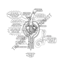 Urinary system coloring book the ical anatomist shop