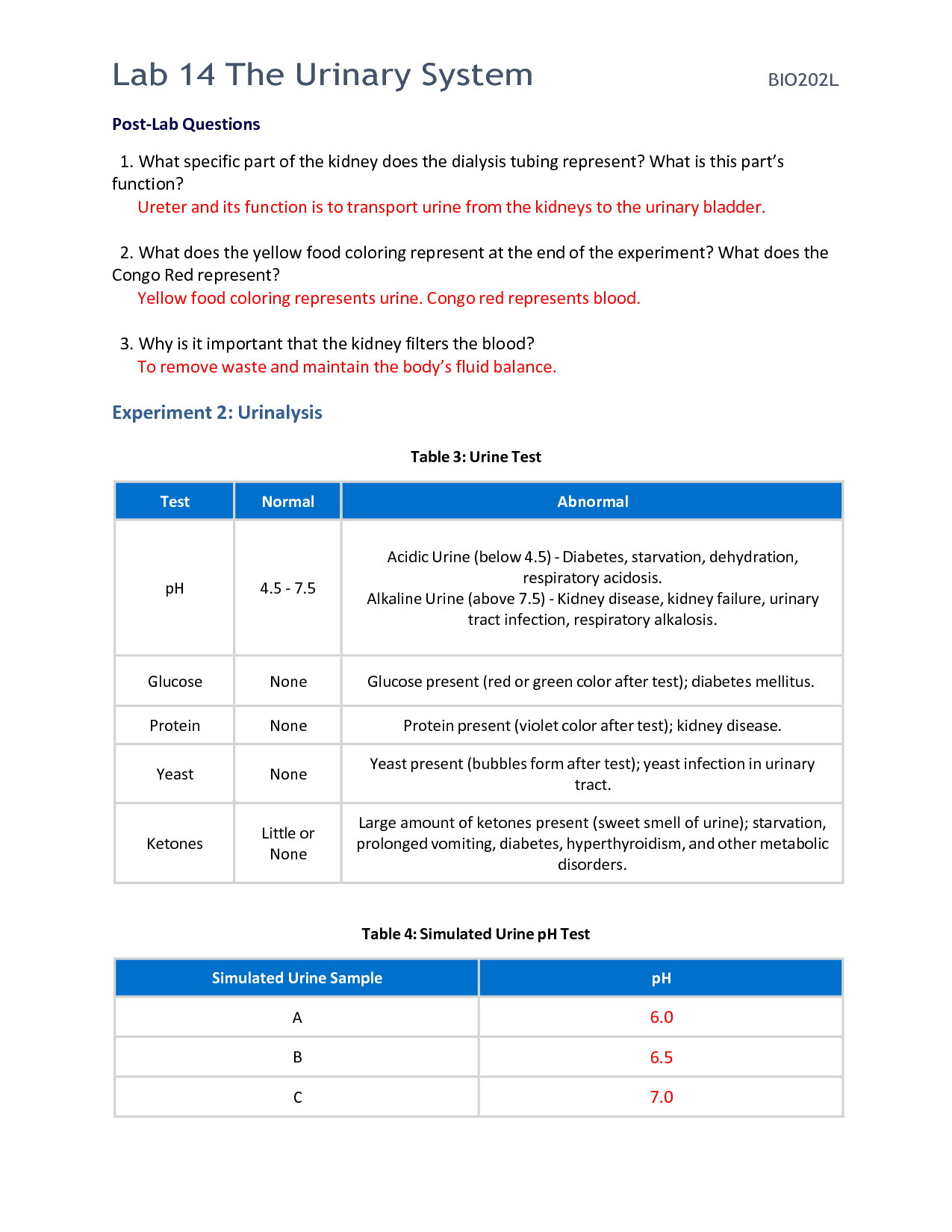 Solution straighterline bio l lab worksheet the urinary system