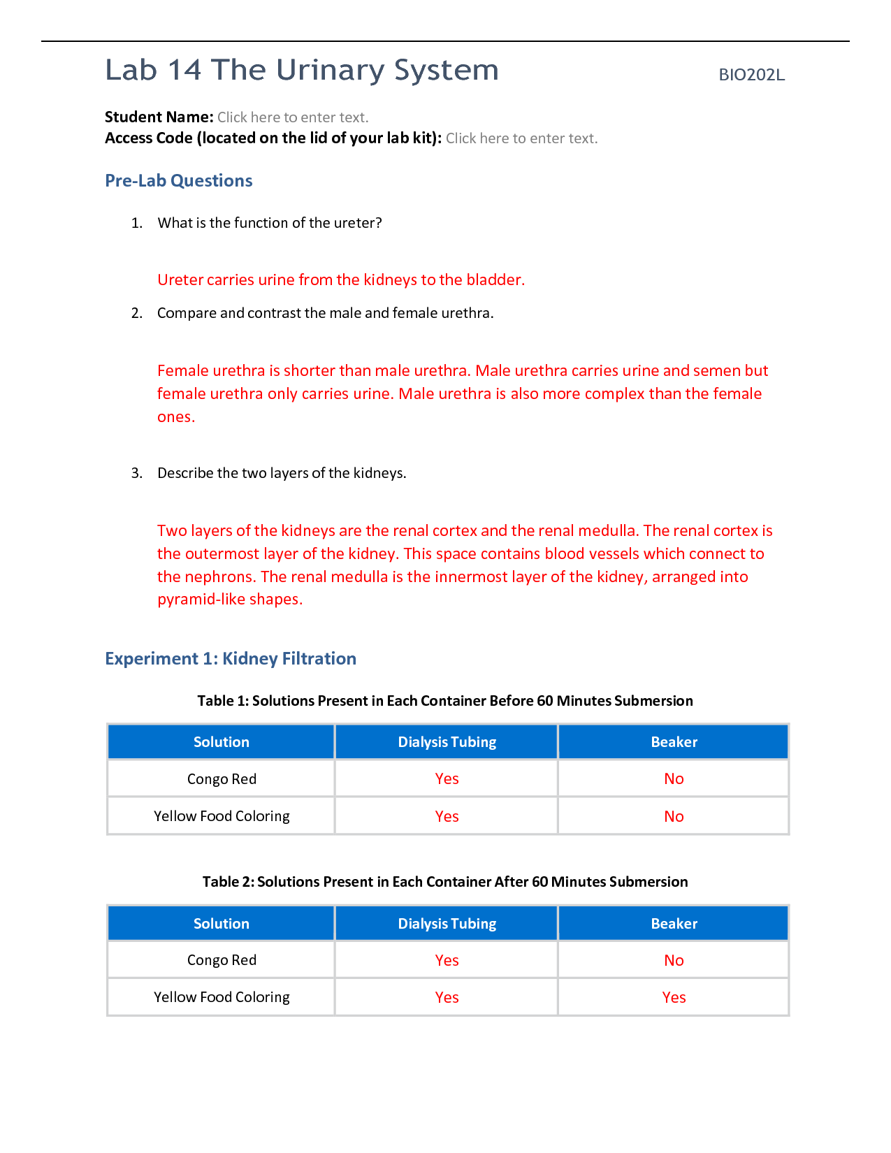 Solution straighterline bio l lab worksheet the urinary system