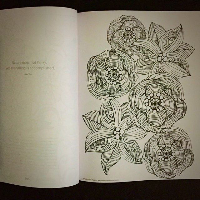 Creative coloring flowers by valentina harper hobbies toys stationery craft craft supplies tools on